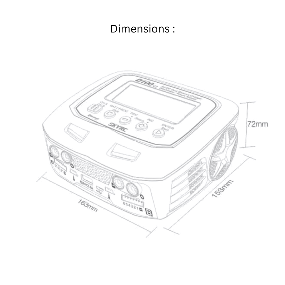 SKY RC D100 v2 charger